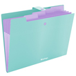 Folder with button, 4 subsections., mint.