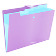 Folder with button, 4 subsections., violet.