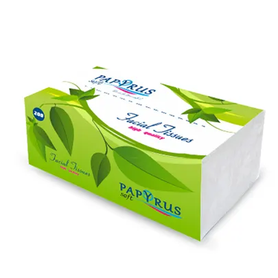 Napkins two-ply, in polyethylene pack, 200 pcs