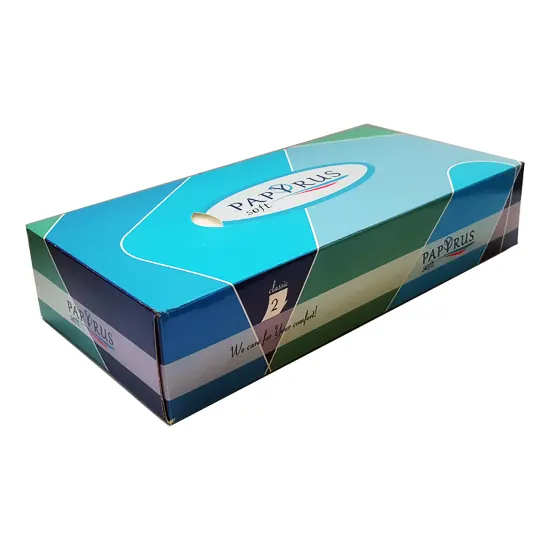 Napkins,  two-ply, in rectangular box, size 22.5x4.7x11 cm, 100 pcs