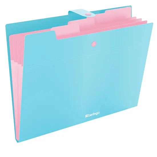 Folder with button, 4 subsections
