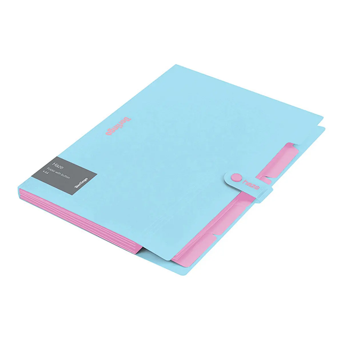 Folder with button, 4 subsections