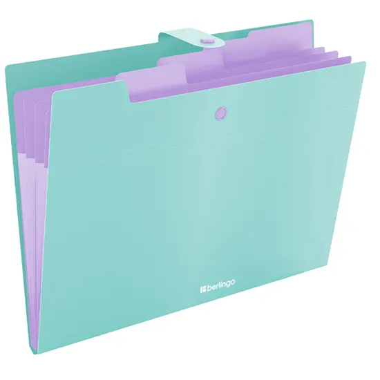Folder with button, 4 subsections