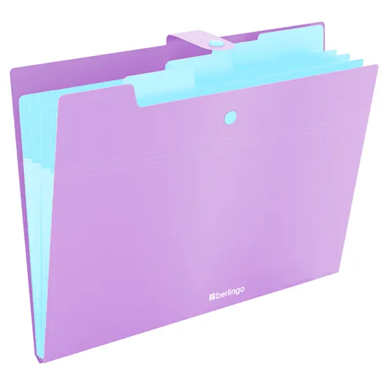 Folder with button, 4 subsections