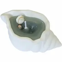 Candle Shell